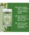Dr. Formulated MD Protein Sustainable Plant Based Vanilla 840g